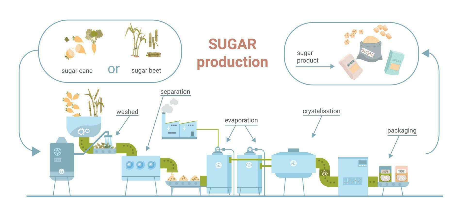 Zucker Produktion eben Infografiken vektor