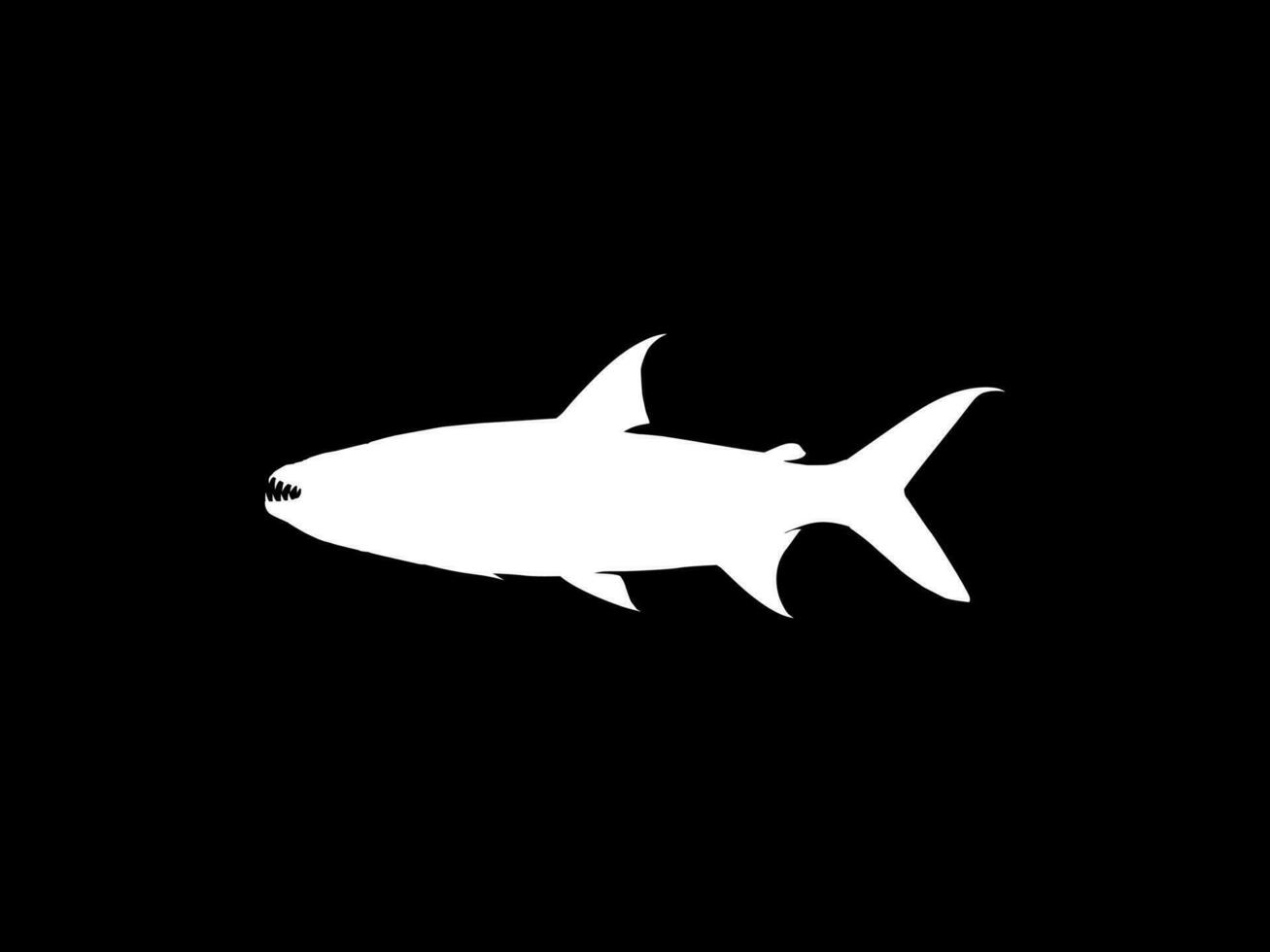 silhuett av de hydrocynus goliat, också känd som de Goliat tigerfisk, jätte tigerfisk, eller mbenga, är en mycket stor afrikansk predatory sötvatten fisk av de familj alestidae. vektor illustration