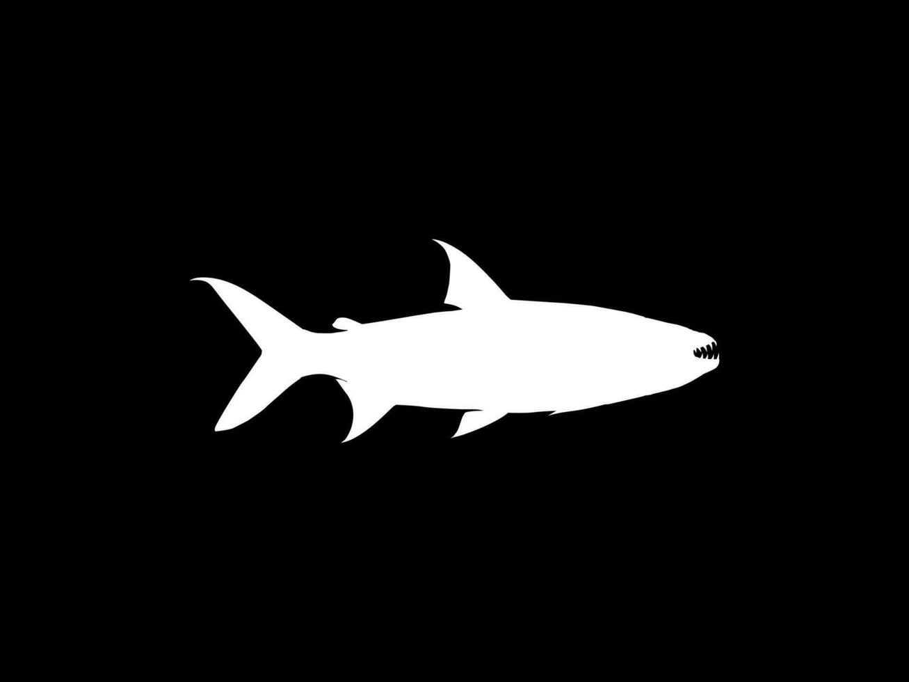 silhuett av de hydrocynus goliat, också känd som de Goliat tigerfisk, jätte tigerfisk, eller mbenga, är en mycket stor afrikansk predatory sötvatten fisk av de familj alestidae. vektor illustration