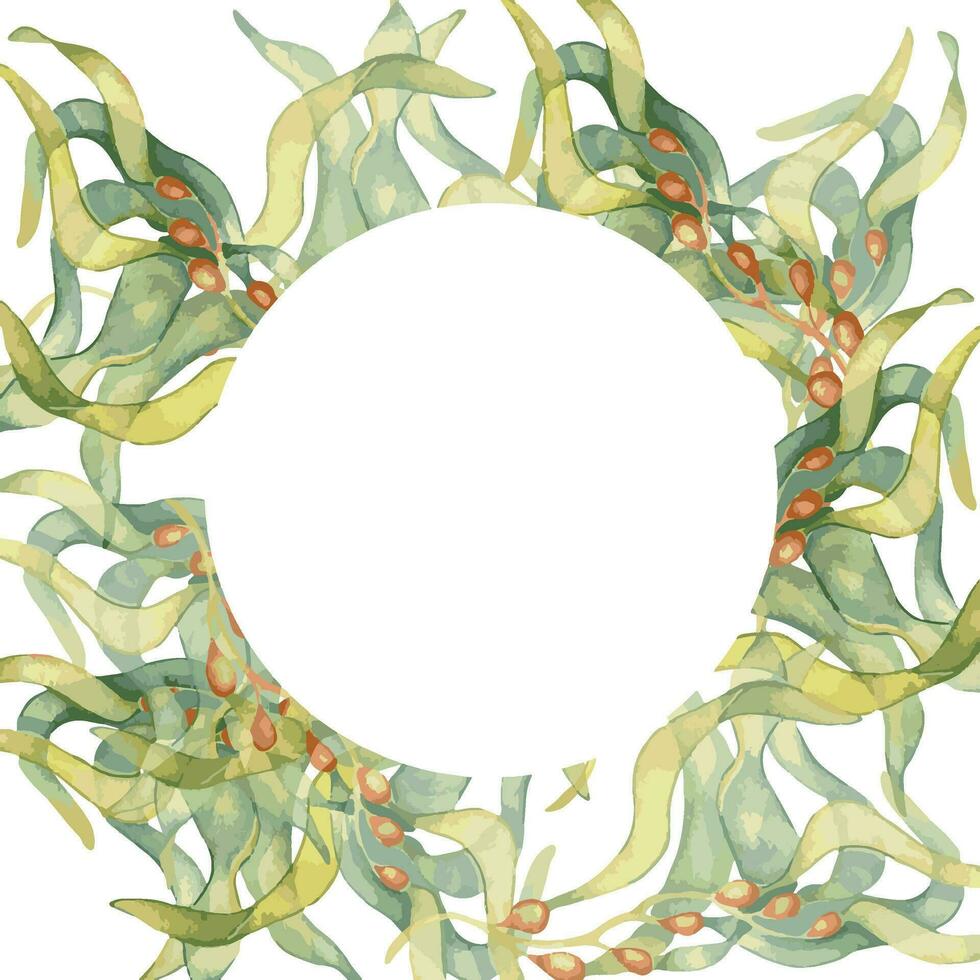 ram av färgrik hav växter vattenfärg illustration isolerat på vit. laminaria, kelp, ört sjögräs hand ritade. design för märka, ram, inbjudan, förpackning, omslag, marin samling vektor