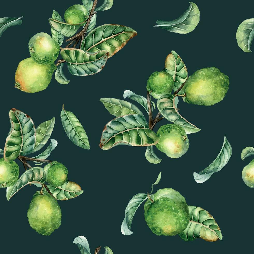 Ast von Baum und Single Guave Obst Aquarell nahtlos Muster isoliert auf schwarz Hintergrund. Grün Blätter, Blumen von Guajava Hand gezeichnet. Design zum Verpackung, Verpackung, Stoff, Papier, Textil- vektor