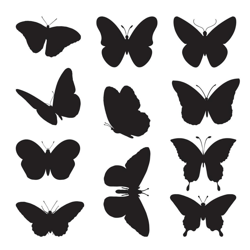 Schmetterling Silhouette Sammlung isoliert schwarz Vektor Illustration