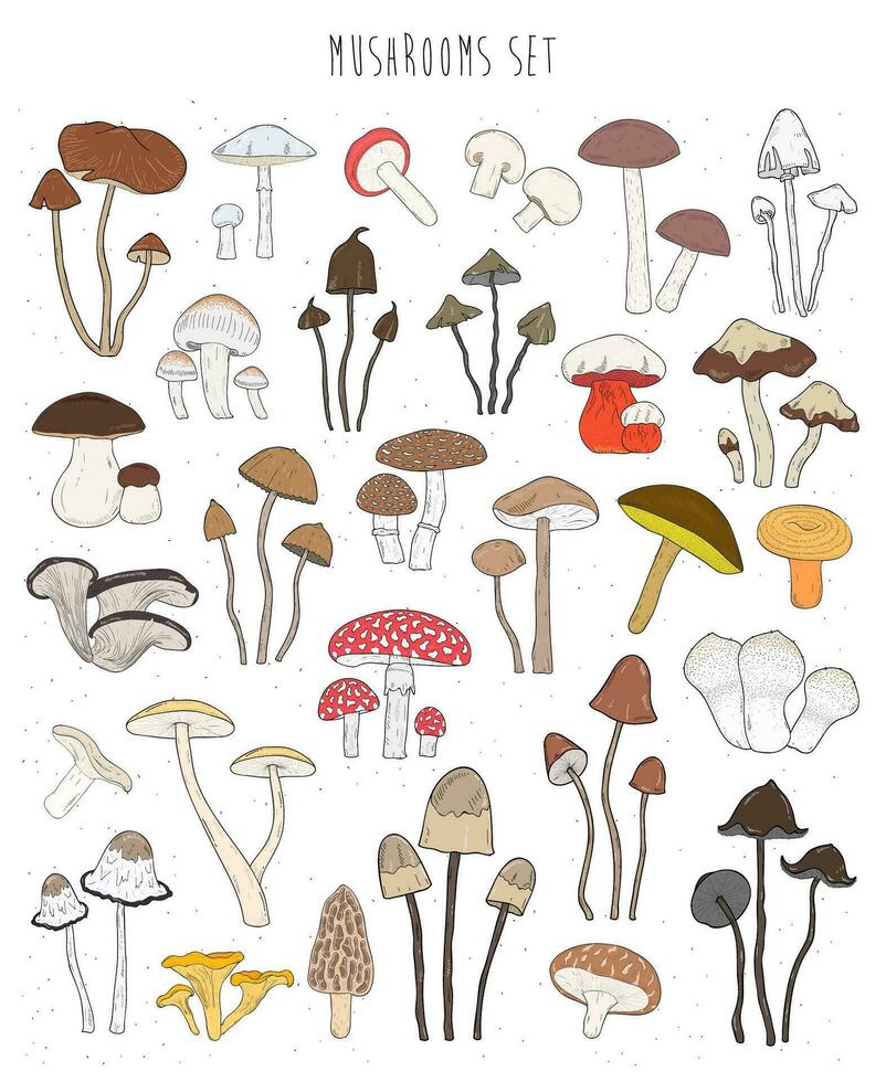 Sammlung von Hand gezeichnet bunt Pilze. einstellen isoliert essbar, ungenießbar, halluzinogen Pilz. skizzieren Vektor Illustration