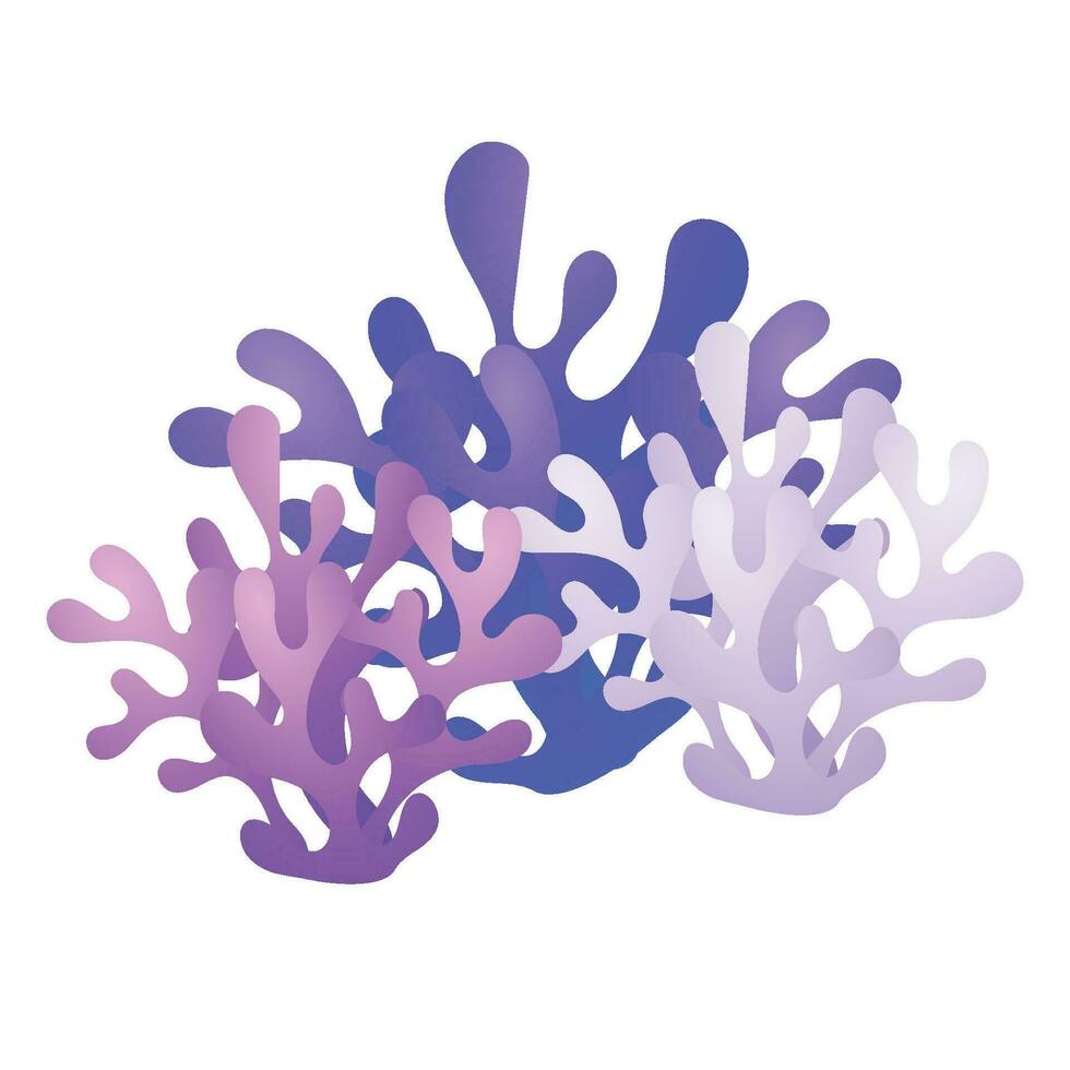 vektor hand dragen färgrik korall samling