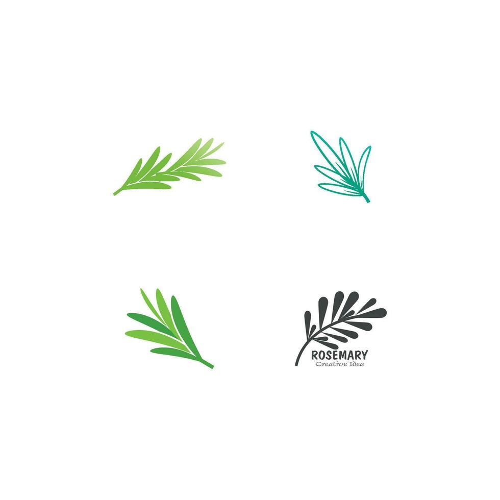 rosmarin logotyp vektor illustration mall företag element och symbol design