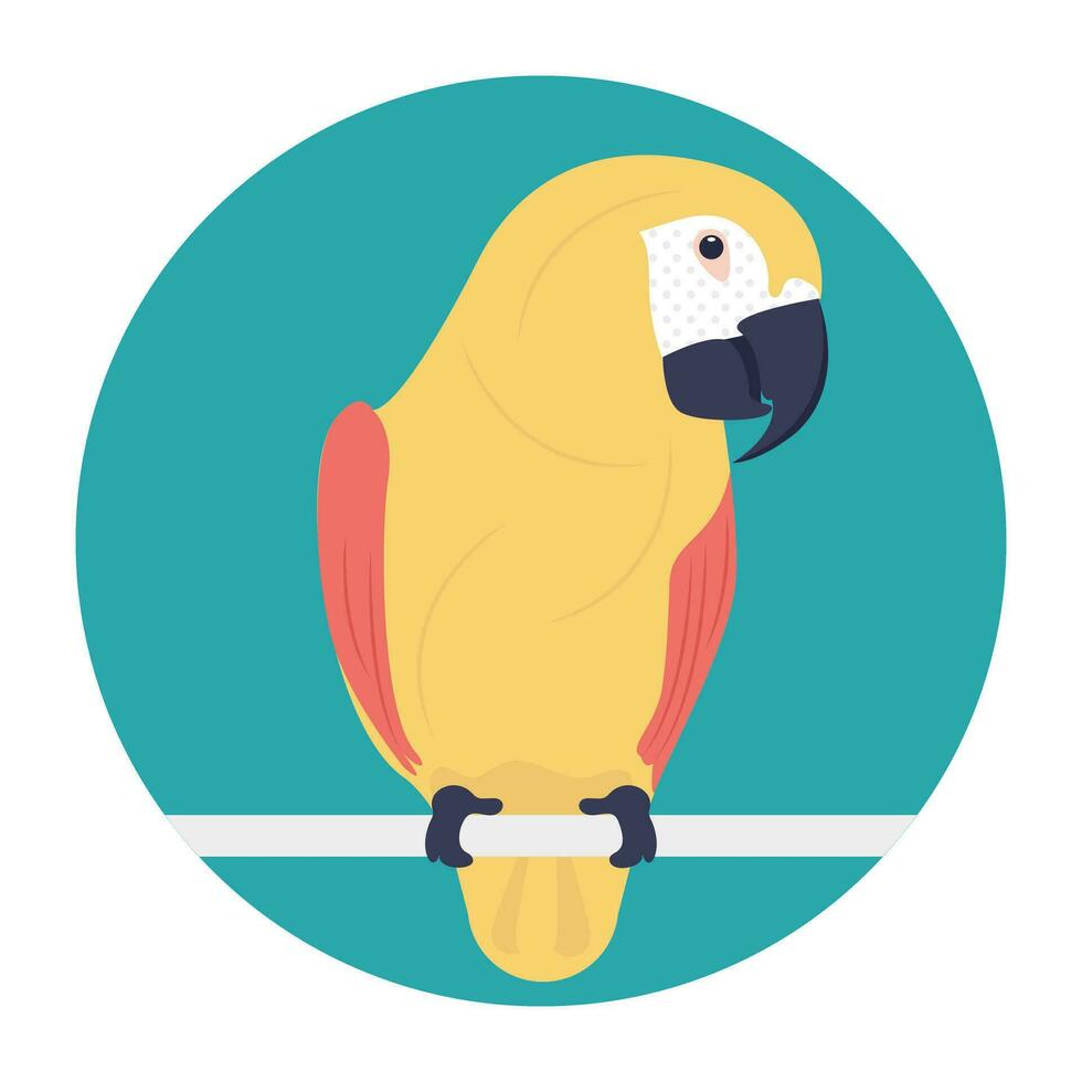 Papagei, ein Vogel, ebenfalls bekannt wie Psittacine. Beliebt wie Käfig Vogel vektor