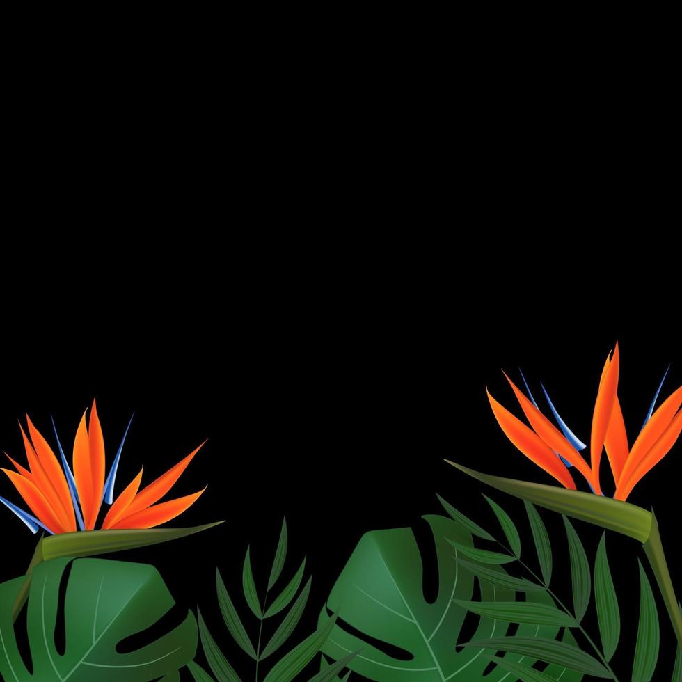 natürliches realistisches grünes Palmblatt mit tropischem Hintergrund der Strelitzia-Blume. Vektorillustration eps10 vektor