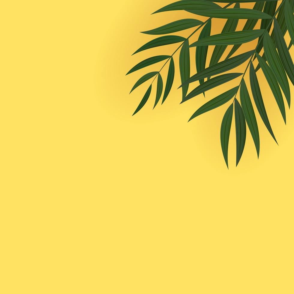 abstrakter realistischer grüner tropischer Hintergrund des Palmblattes. Vektor-Illustration eps10 vektor