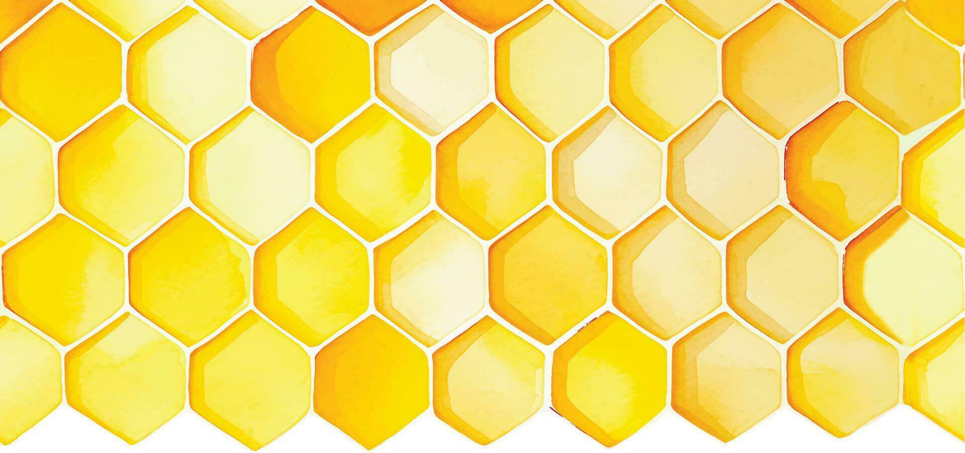 sömlös bakgrund, honeycomb kant. gul honeycomb akvarell handritning. isolerad på vit bakgrund. mönster för design, banner, plats för en inskription. söt ritning jordbruk, bi vektor