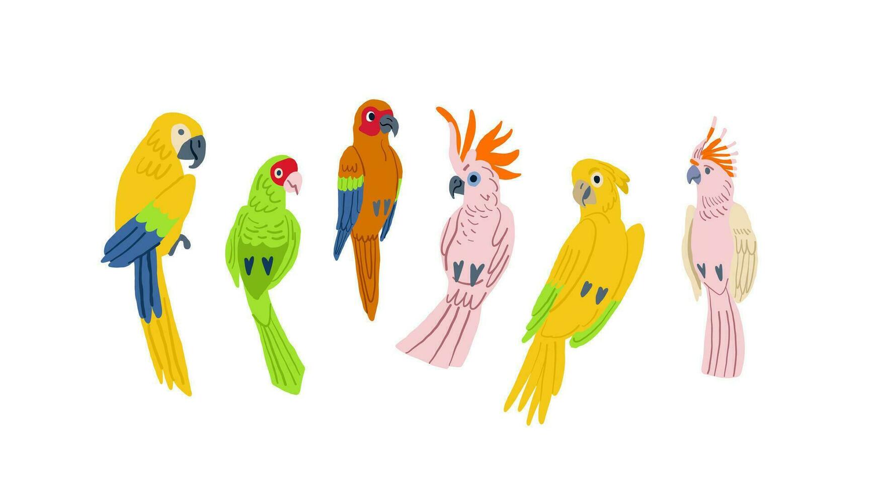 platt design vektor fåglar ikon uppsättning. populär birding arter samling. exotisk fågel uppsättning i platt design på vit.