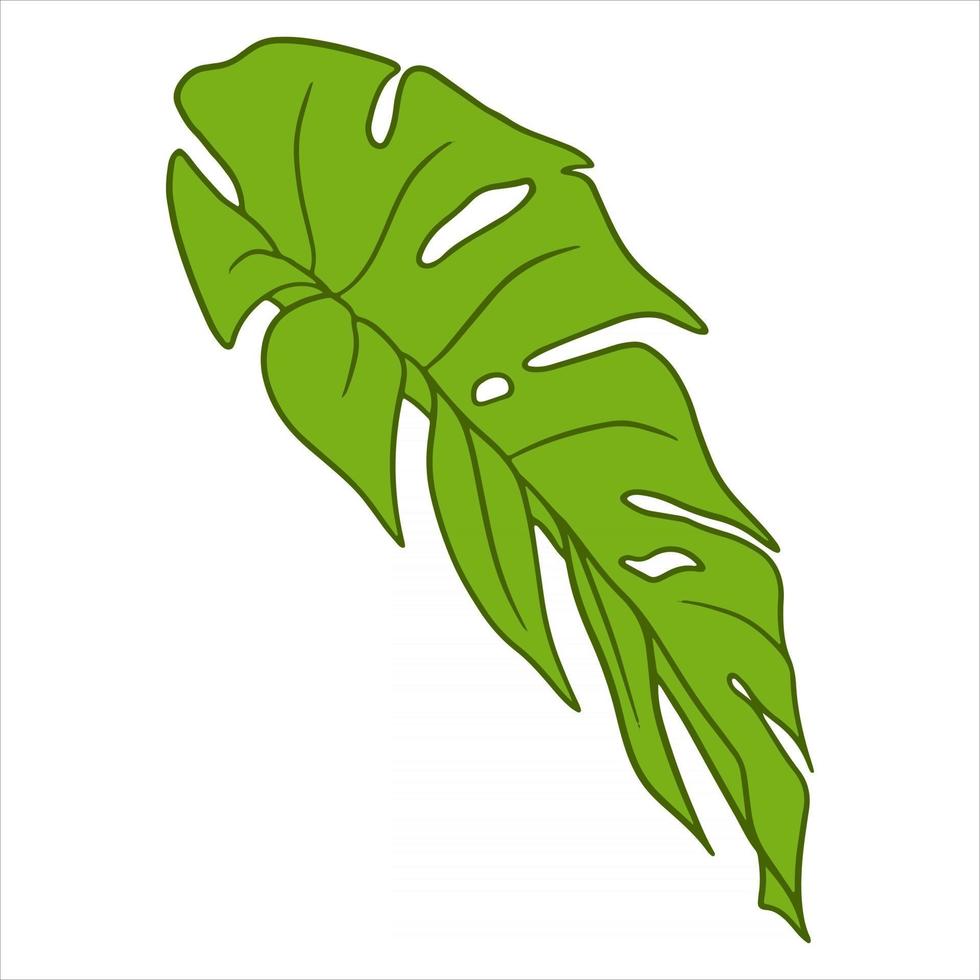 tropiska växter exotiska snidade gröna blad i tecknad stil vektor