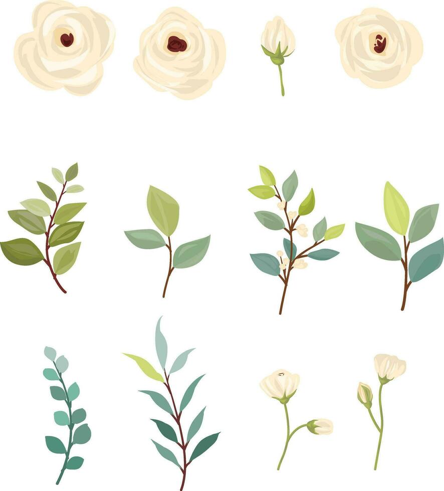 uppsättning av vit rosor. vit trädgård isolerat ikon av vit blommor, kronblad och knopp med stam och grön löv för romantisk blommig dekoration, bröllop bukett och valentine hälsning kort vektor