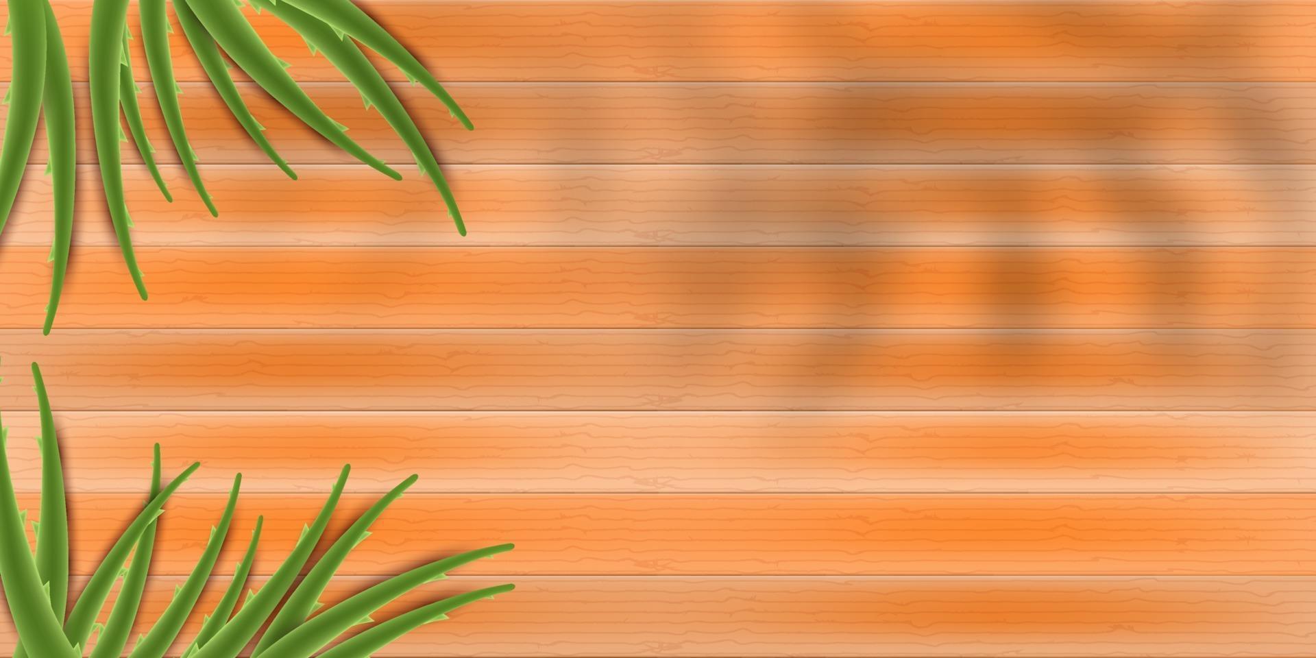 trä bakgrund med aloe vera vektor