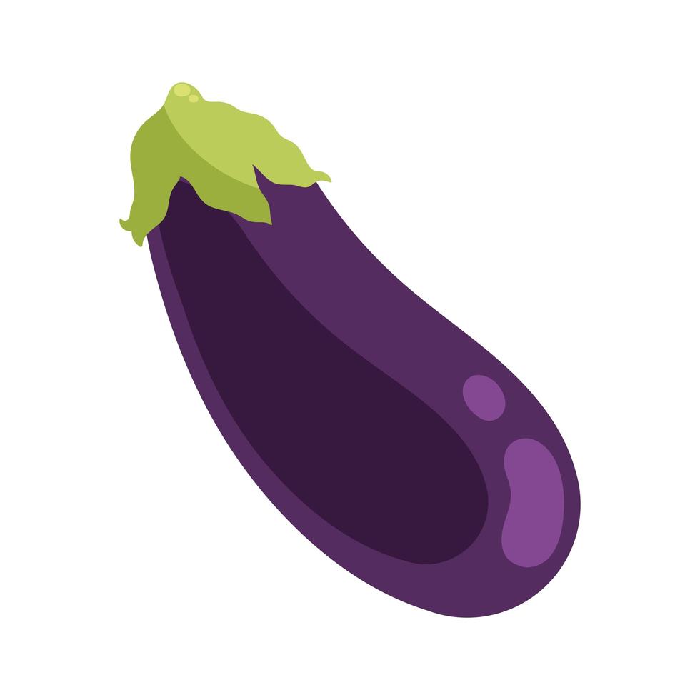 aubergine färsk grönsak vektor