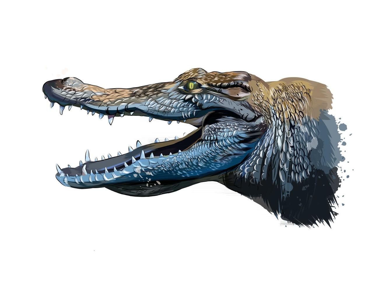 Krokodilkopfporträt aus einem Spritzer Aquarell, farbige Zeichnung, realistisch. Vektor-Illustration von Farben vektor