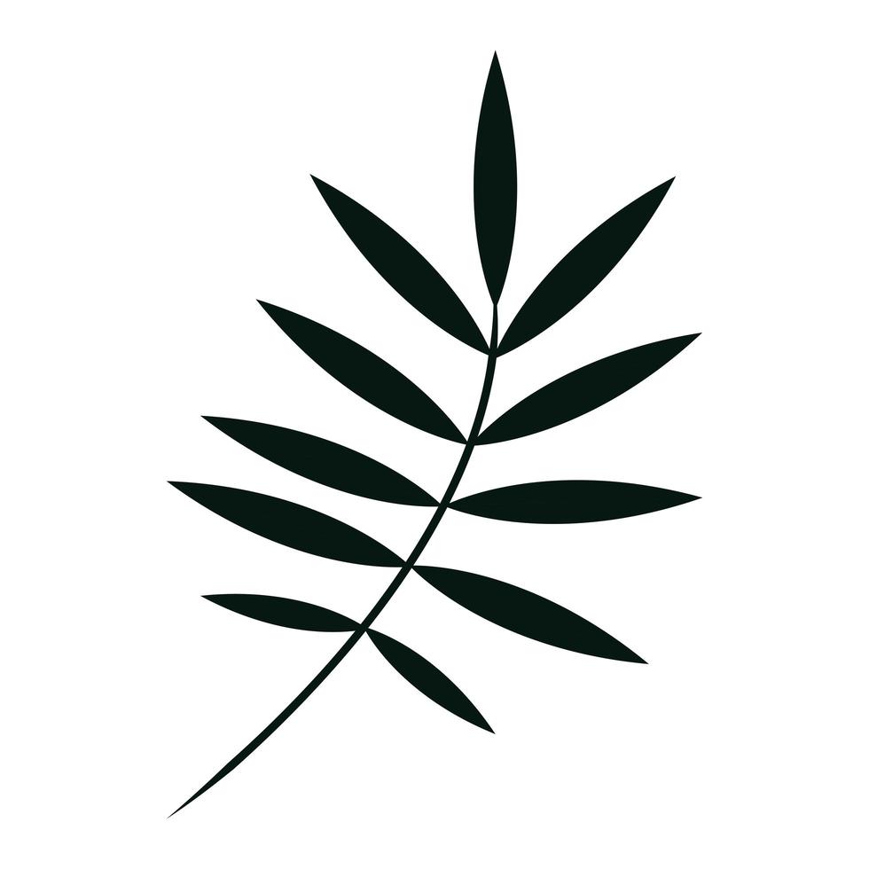 Zweig mit Blättern Natur-Symbol vektor