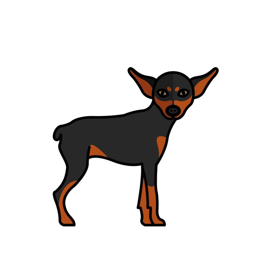 Zwergpinscher Hund Haustier Maskottchen Rasse Charakter vektor