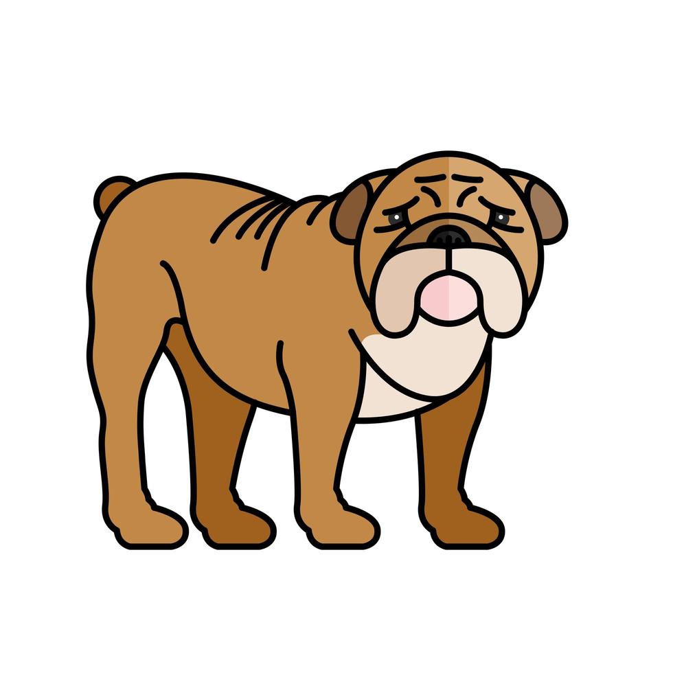 Bulldogge Haustier Maskottchen Rasse Charakter vektor