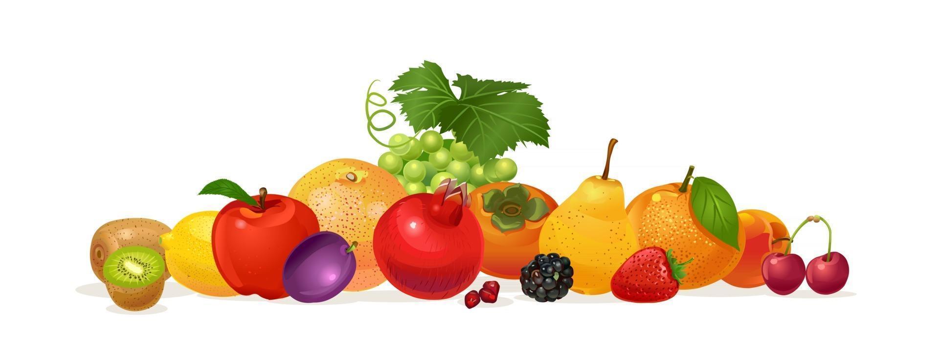 Zusammensetzung der Früchte. Granatapfel, Orange, Pflaume, Kiwi, Erdbeere, Birne, Süßkirsche, Kaki, Zitrone, Brombeere, Apfel, Traube, Pfirsich, Orange. Vektor-Illustration isoliert auf weißem Hintergrund. vektor