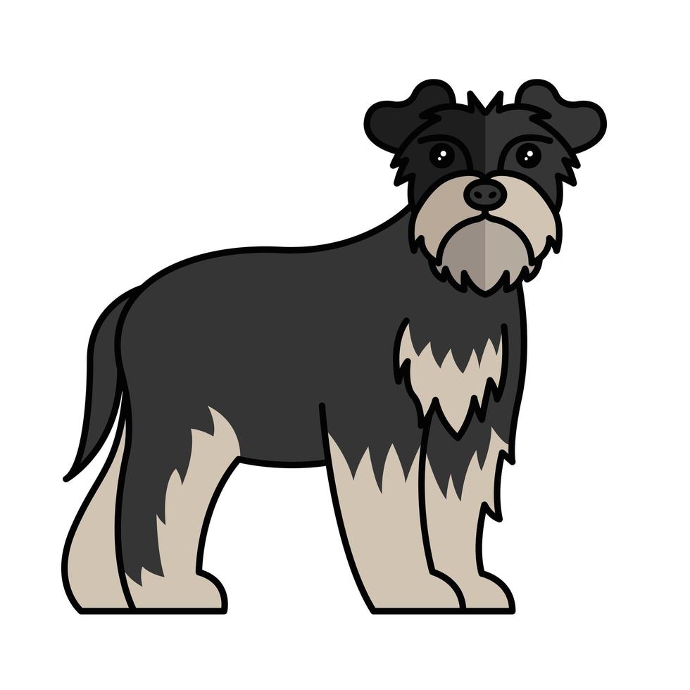 schnauzer hund husdjur maskot ras karaktär vektor