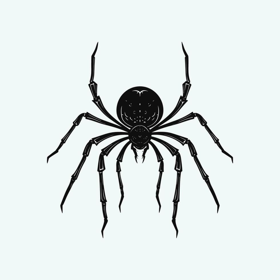 das kompliziert Design von ein Spinne vektor