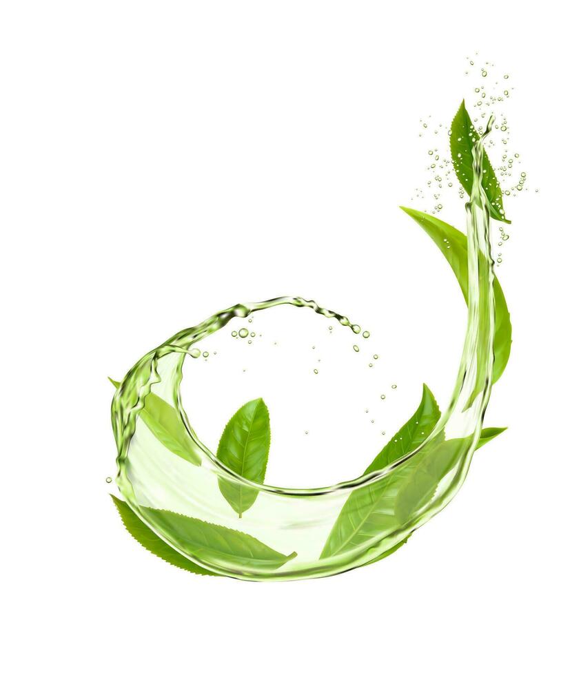 grön te löv, vatten stänk och droppar för dryck vektor