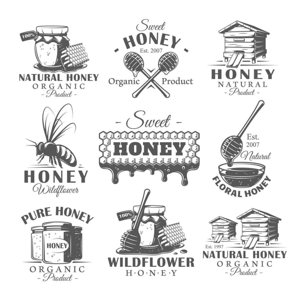 einstellen von Jahrgang Honig Etiketten vektor