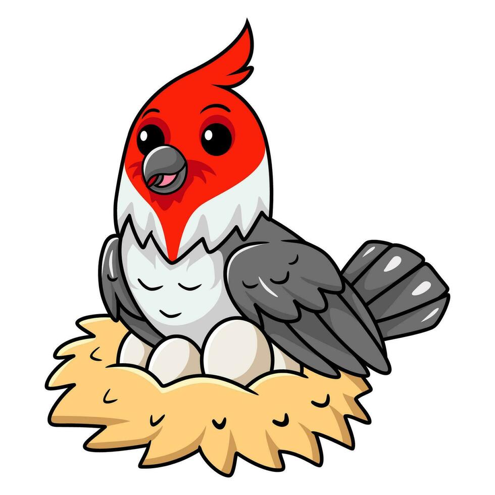 söt röd naken kardinal fågel tecknad serie med ägg i de bo vektor