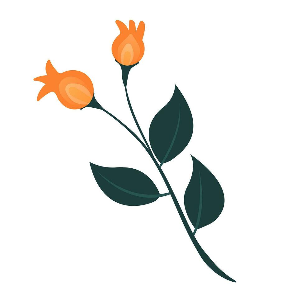 Blumen- Linie einfach Natur zum Schönheit branding modisch Gliederung Symbole zum Handy, Mobiltelefon Apps und Webseite Design. Prämie Pack von Symbole im modisch Linie Stil. vektor