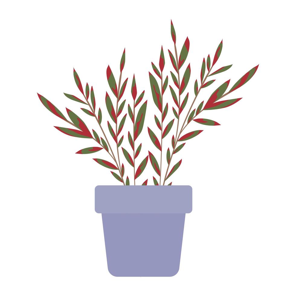 plantera inuti en kruka med gröna och röda blad vektor