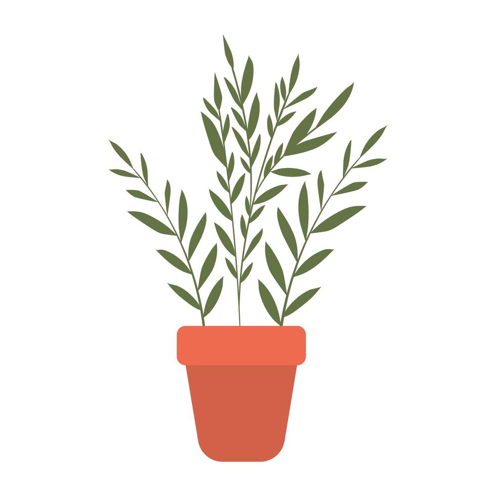 Pflanze in einen Topf mit weißem Hintergrund vektor