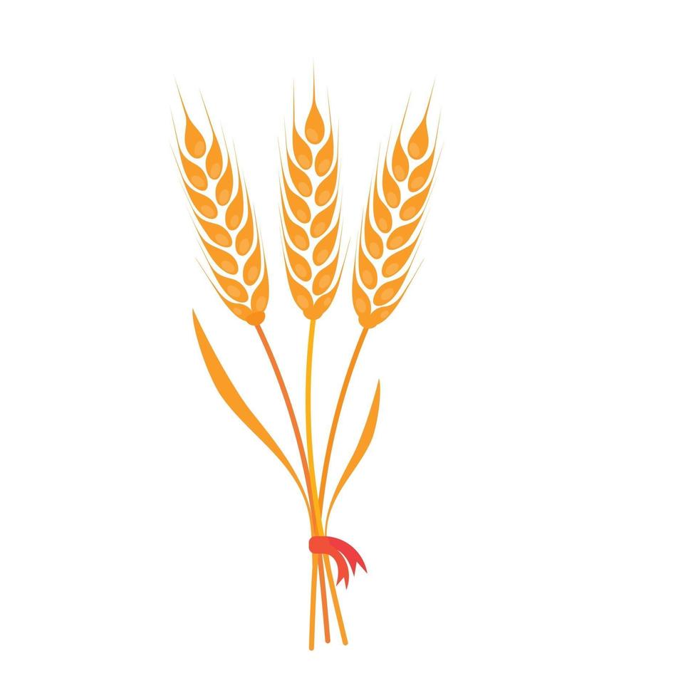 stort gäng vete, korn eller råg öron med fullkorn och torra löv, gyllene vete, råg eller korn gröda med rött band skörd symbol eller ikon tecken platt stil design vektorillustration isolerade vektor