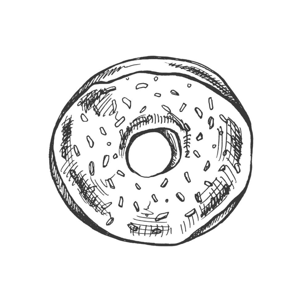 en ritad för hand skiss av munk. årgång illustration. bakverk sötsaker, efterrätt. element för de design av etiketter, förpackning och vykort. vektor