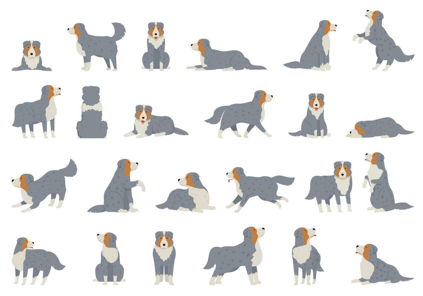 australier herde ikoner uppsättning tecknad serie vektor. hund djur- vektor
