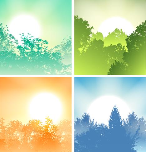 Vier Sonnenaufgänge über Bäumen vektor