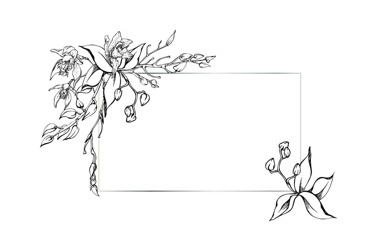 Hand gezeichnet Vektor Tinte Orchidee Blumen und Geäst, einfarbig, detailliert Umriss. horizontal Rahmen Komposition. isoliert auf Weiß Hintergrund. Design zum Mauer Kunst, Hochzeit, drucken, Tätowierung, Abdeckung, Karte.