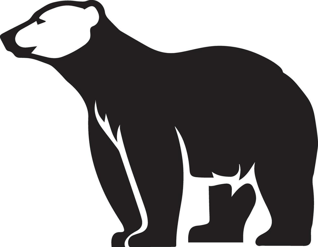 Polar- Bär Vektor Silhouette Illustration schwarz Farbe