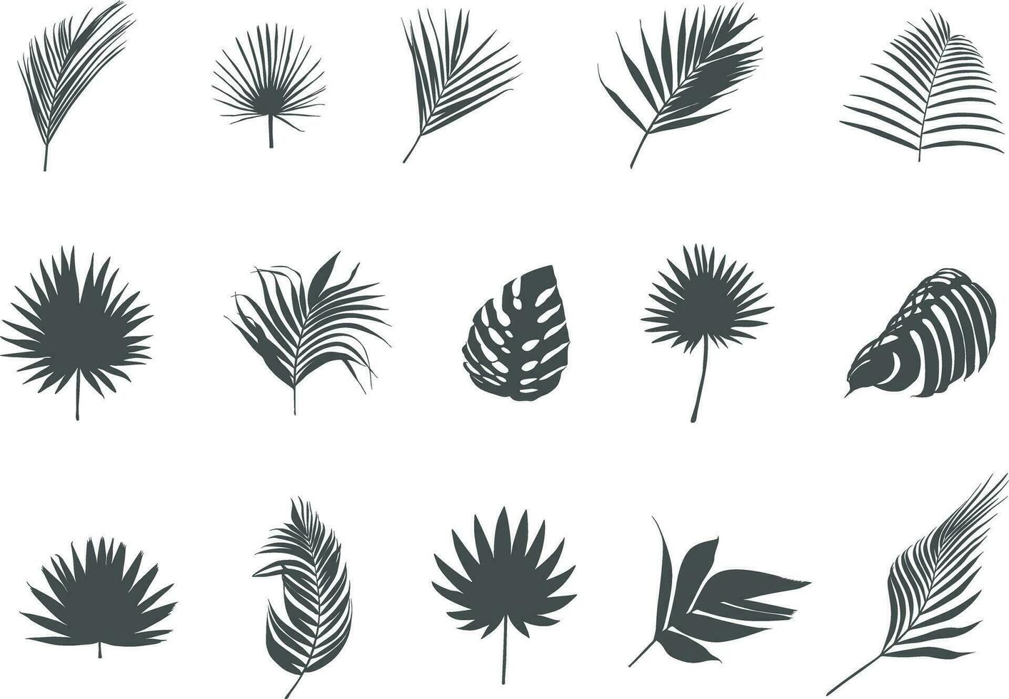Palme Blätter Silhouetten, tropisch Palme Blätter Vektor, Blatt Symbol, Blatt Silhouette, Palme Blatt Vektor