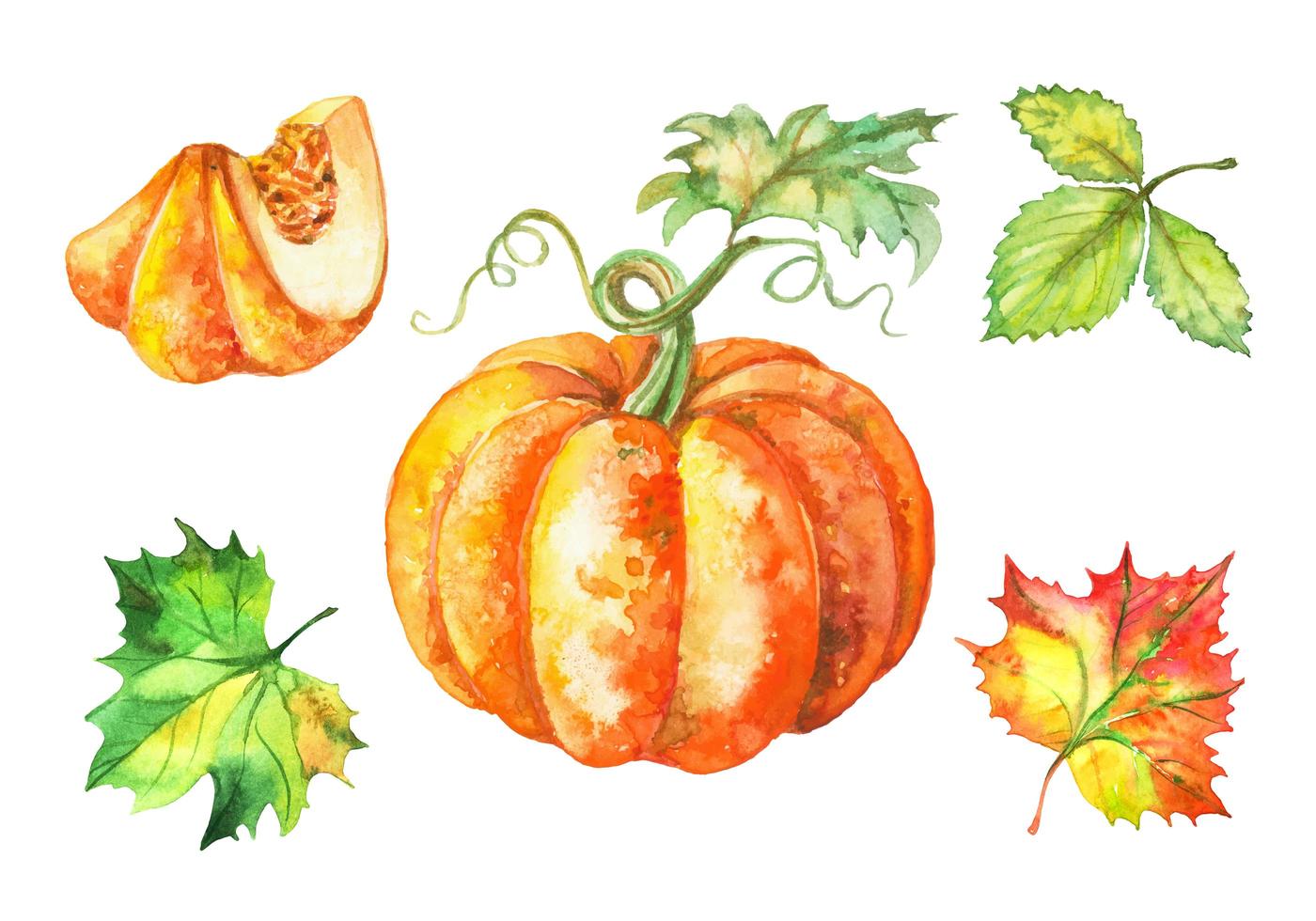 Reihe von Aquarellillustrationen. Kürbis und Herbstlaub. Vektor