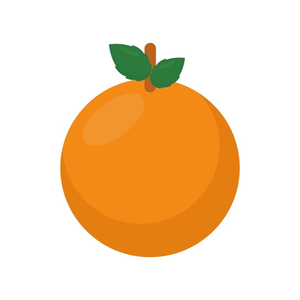 hälsosam orange ikon vektor