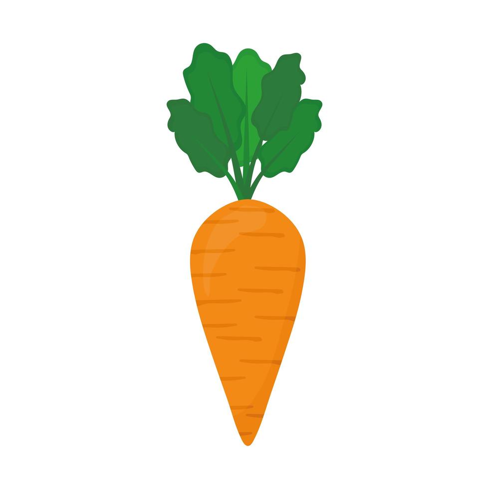 Symbol für frische Karotten vektor