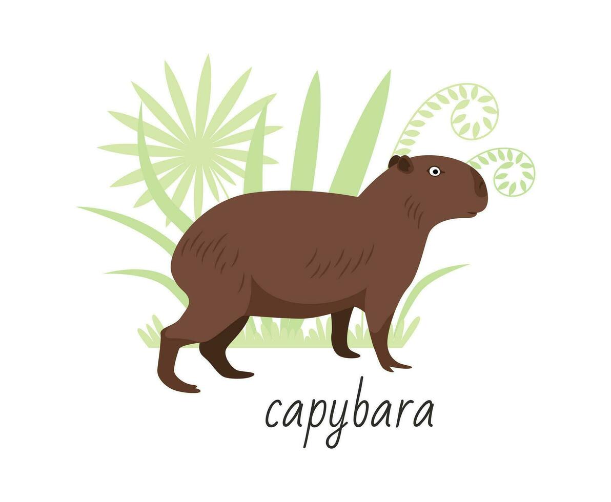 Capybara Tier isoliert auf Weiß Hintergrund. tropisch Pflanzen. Vektor eben Illustration