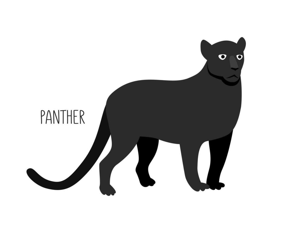 panter är en vild katt. titel. vektor platt illustration av djur- isolerat på vit bakgrund.