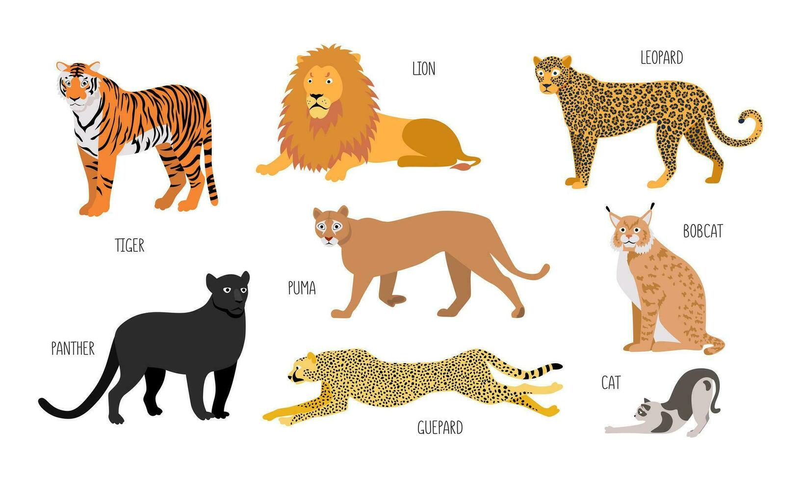 einstellen von anders Tiere von das katzenartig Familie. Löwe, Panther, Guepard, Leopard, Puma, Tiger, Luchs, Rotluchs, Katze. Vektor eben Illustration