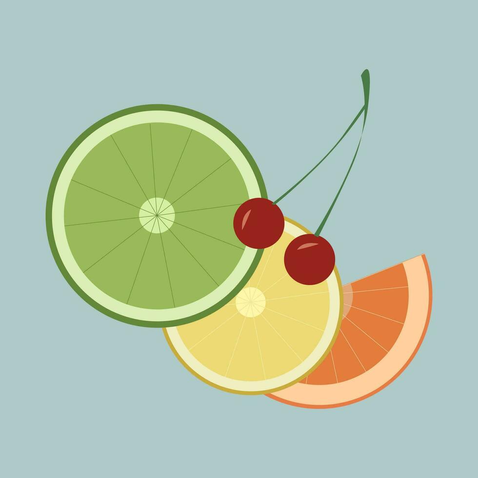 citrus- frukter, saftig frukter, orange, kalk, citron- och körsbär, körsbär. uppfriskande på en sommar dag. en bit av orange, en skiva av orange vektor