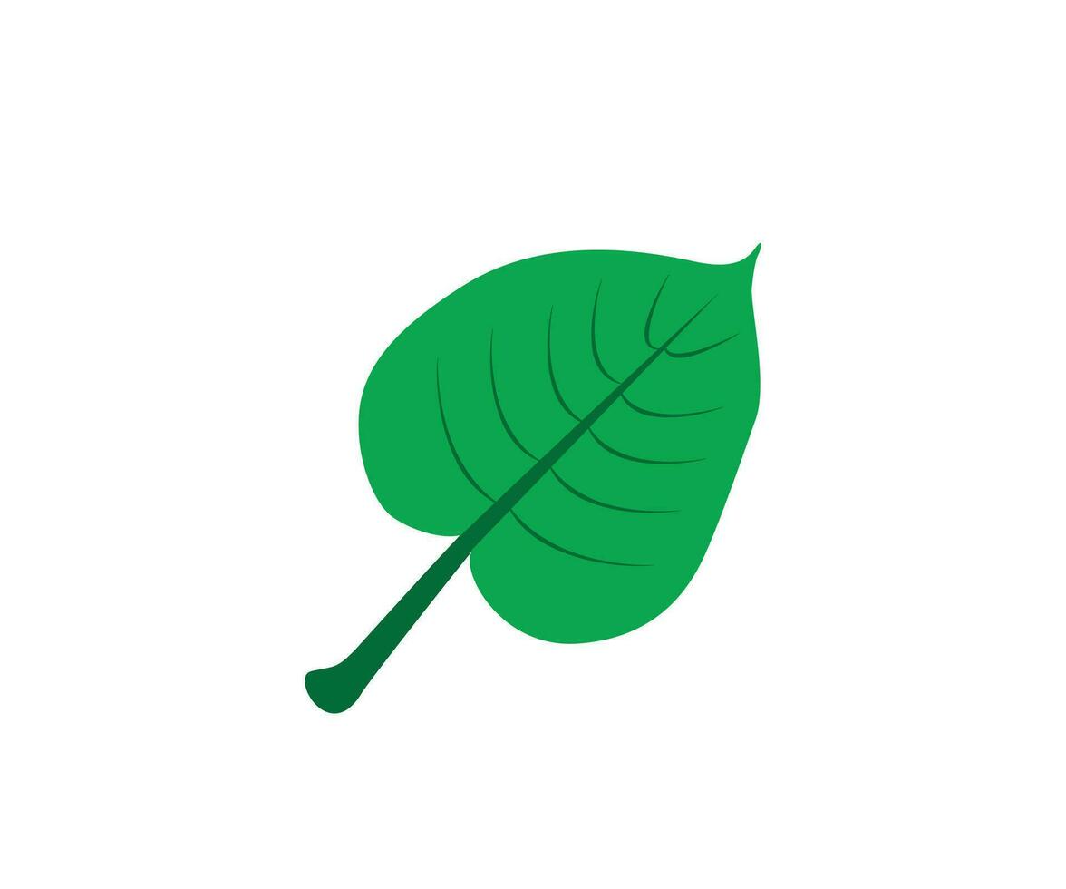grön träd blad design vektor