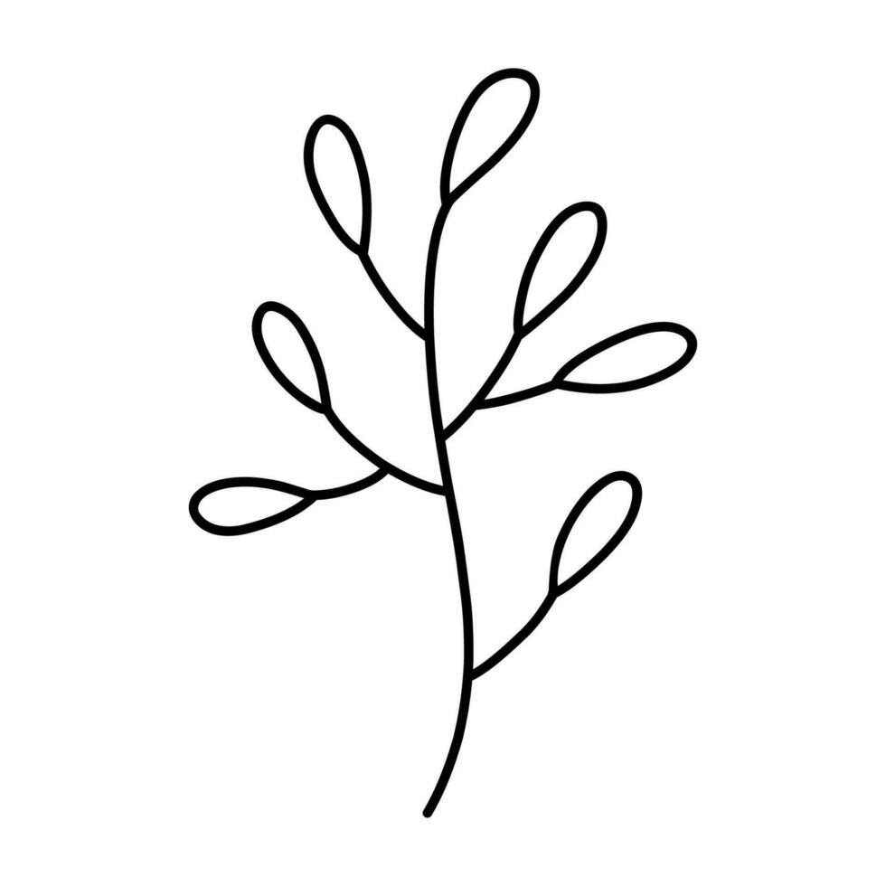 söt gren med löv isolerat på vit bakgrund. vektor ritad för hand illustration i klotter stil. perfekt för kort, logotyp, dekorationer, olika mönster. botanisk ClipArt.