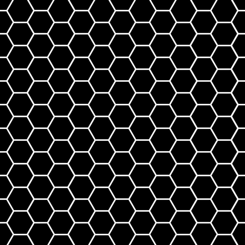 nahtlos schwarz und Weiß Bienenwabe Muster Hintergrund. vektor