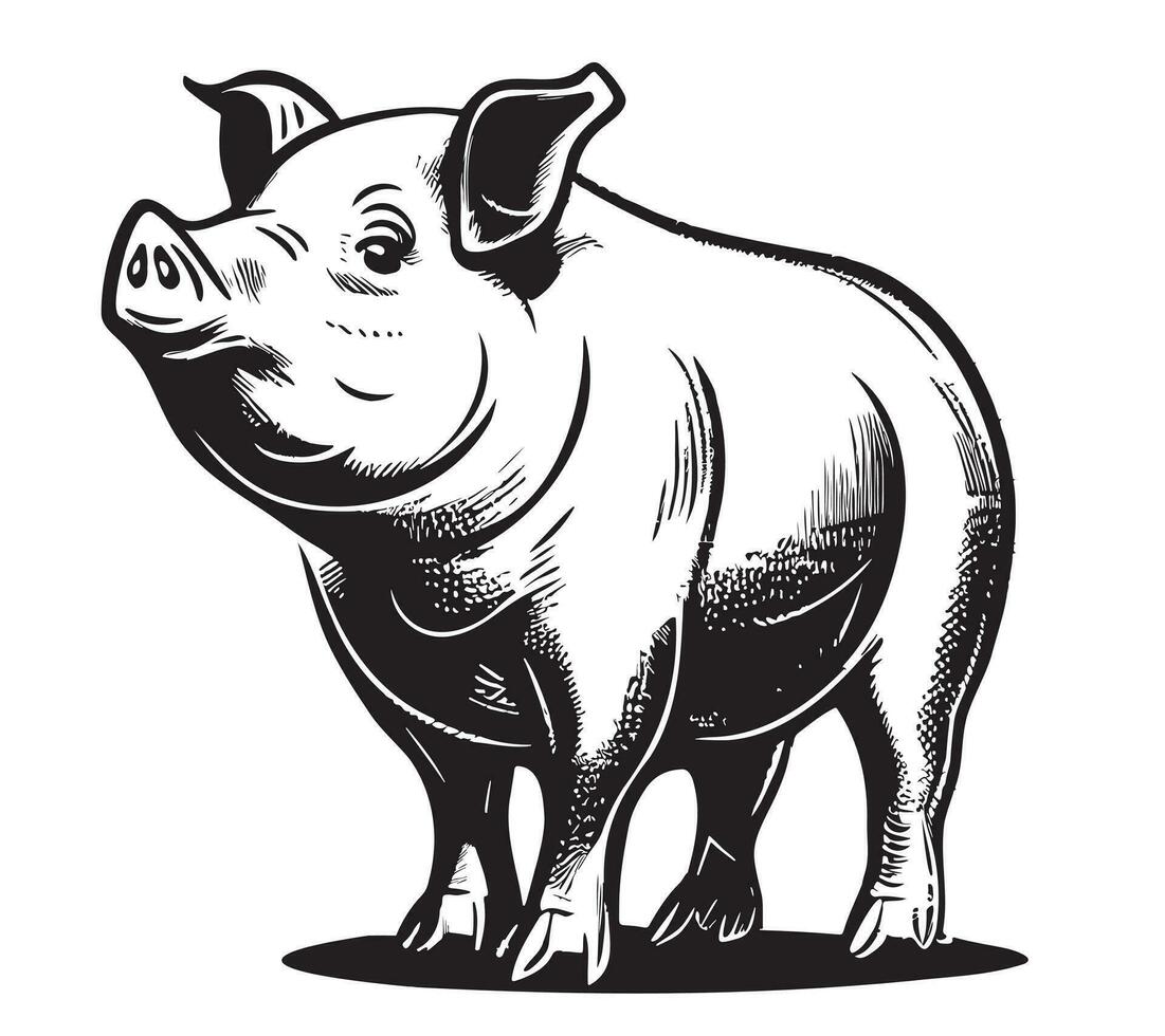 Schwein Bauernhof Hand gezeichnet skizzieren Vektor Illustration Vieh