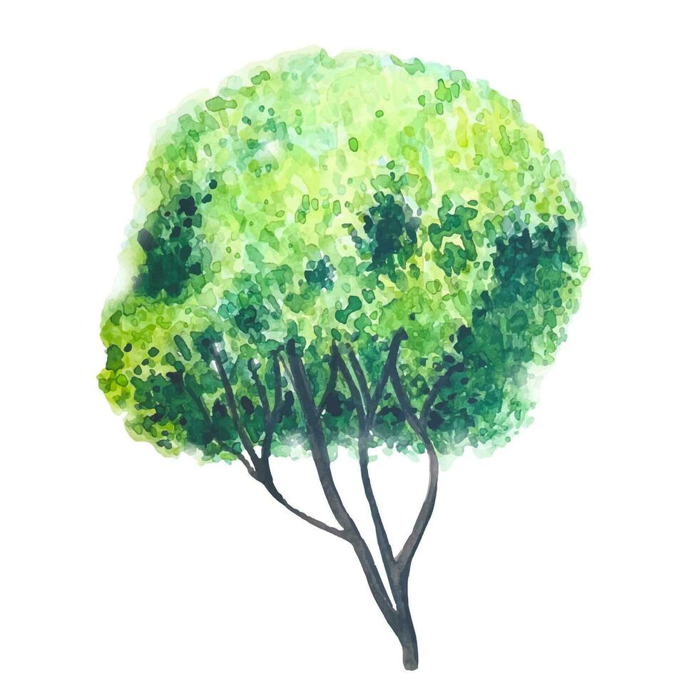 Illustration von ein Baum Hand gemalt im Aquarell vektor